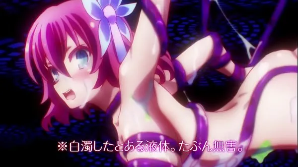 Hot No Game No Life (2014) - Fanservice Compilation warm Videos