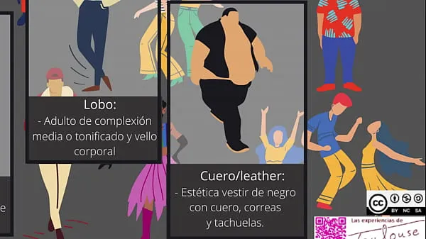 Video caldi Infografica sugli stereotipi/tribù gay e lesbichecaldi